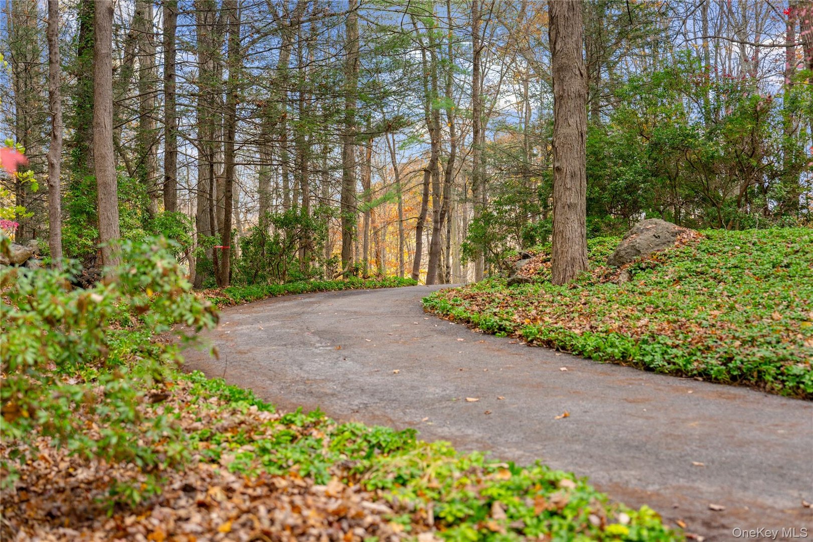 115 Old Roaring Brook Road Photo 7