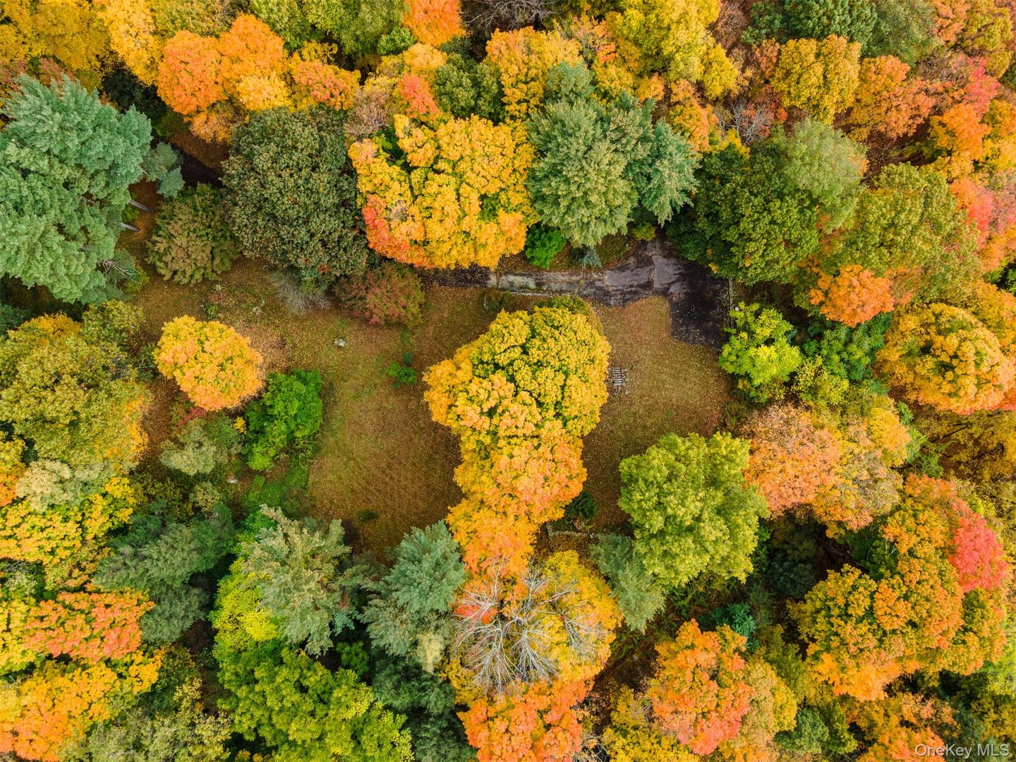 115 Old Roaring Brook Road Photo 11