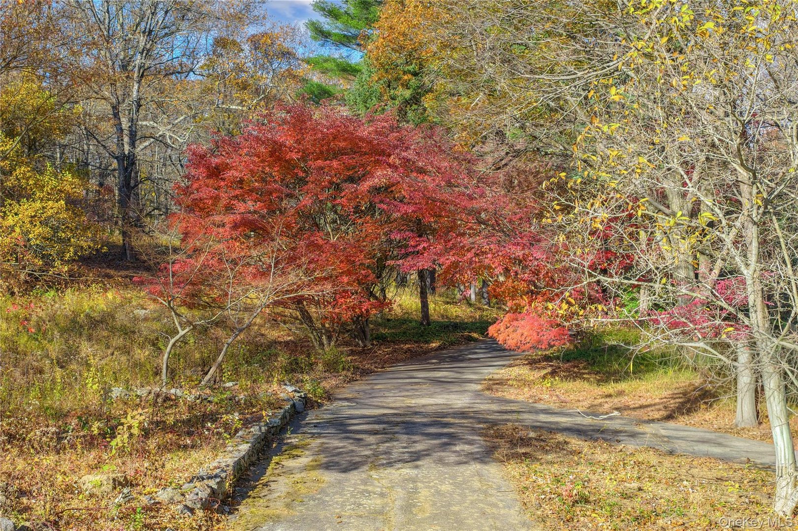 115 Old Roaring Brook Road Photo 16