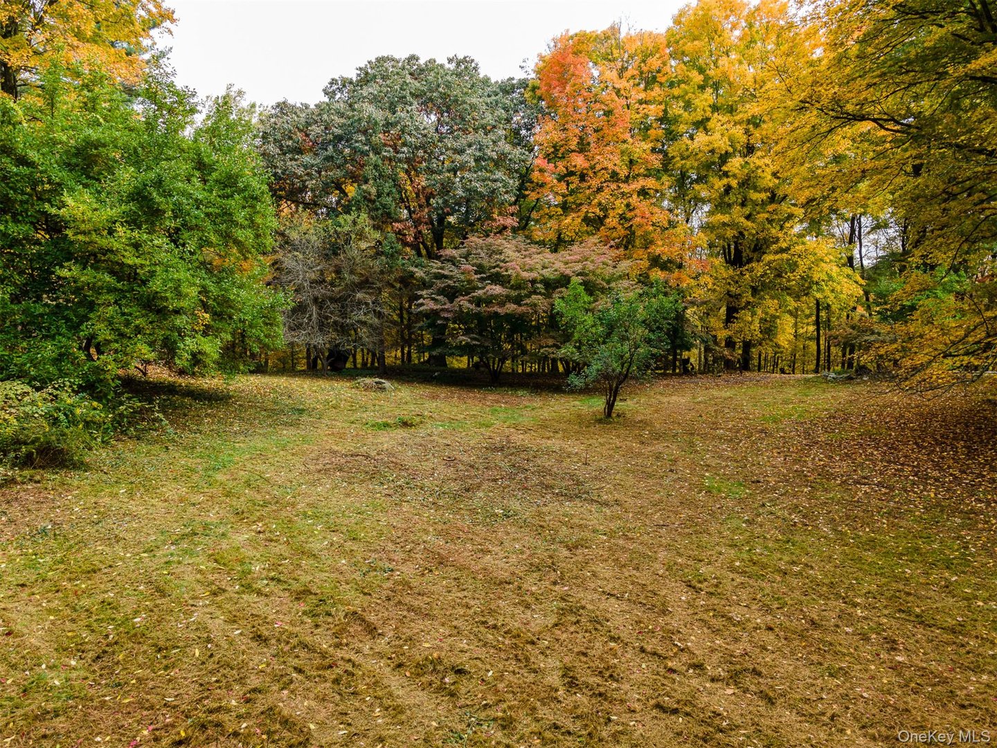 115 Old Roaring Brook Road Photo 7