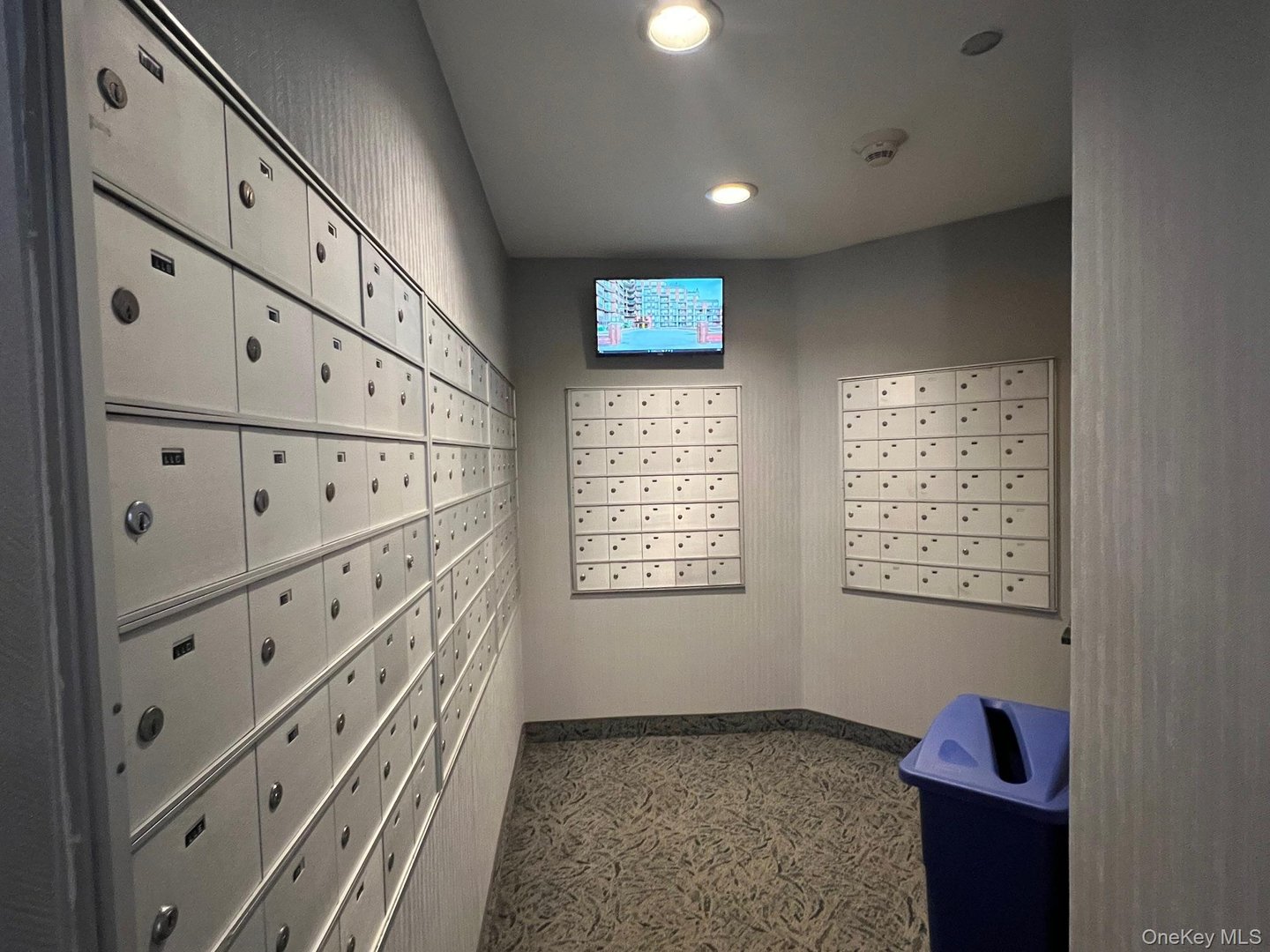 50 E Hartsdale Avenue  #1O Photo 12