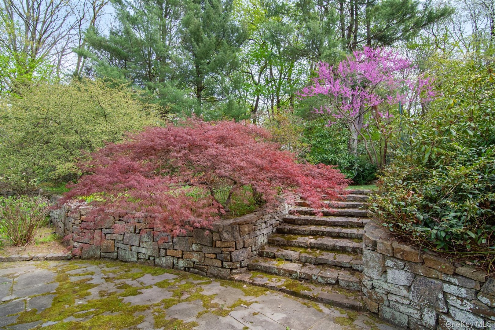 164 Washington Avenue Photo 48