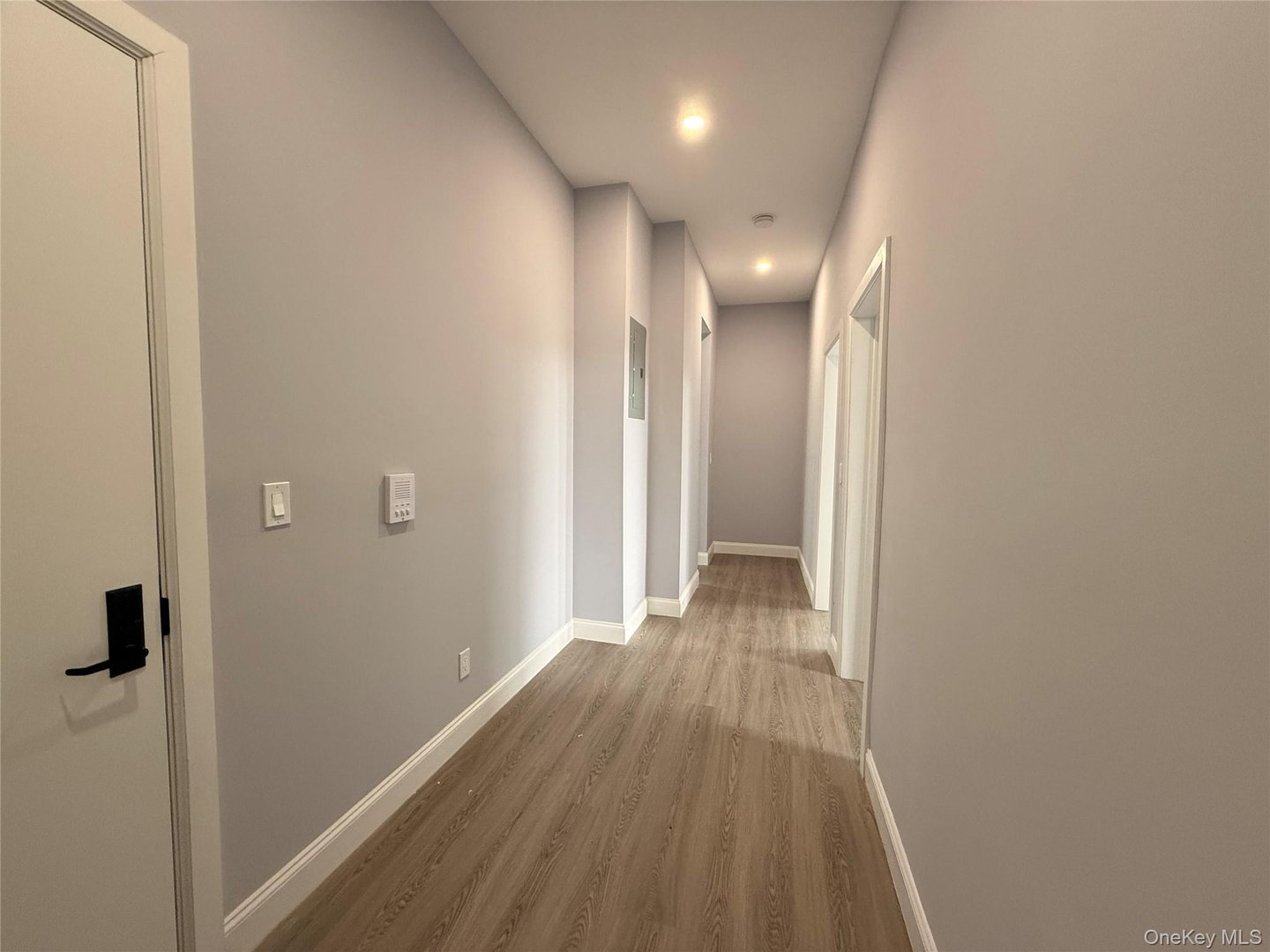 222 Primrose Avenue #2 Photo 17