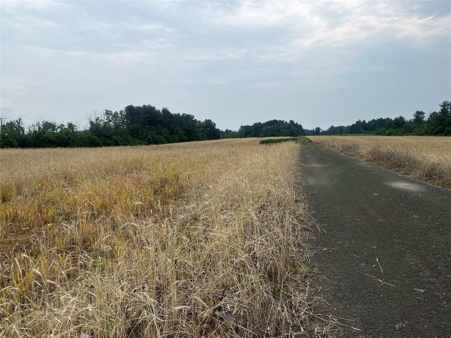 School House Rd Schoolhouse Photo 5