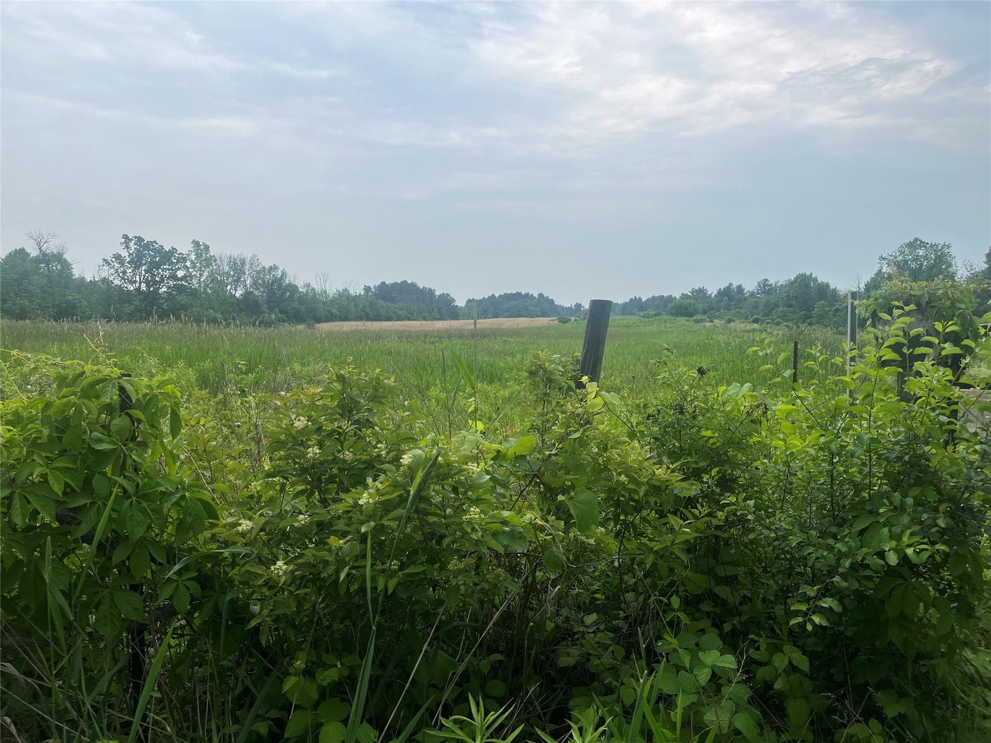 School House Rd Schoolhouse Photo 1