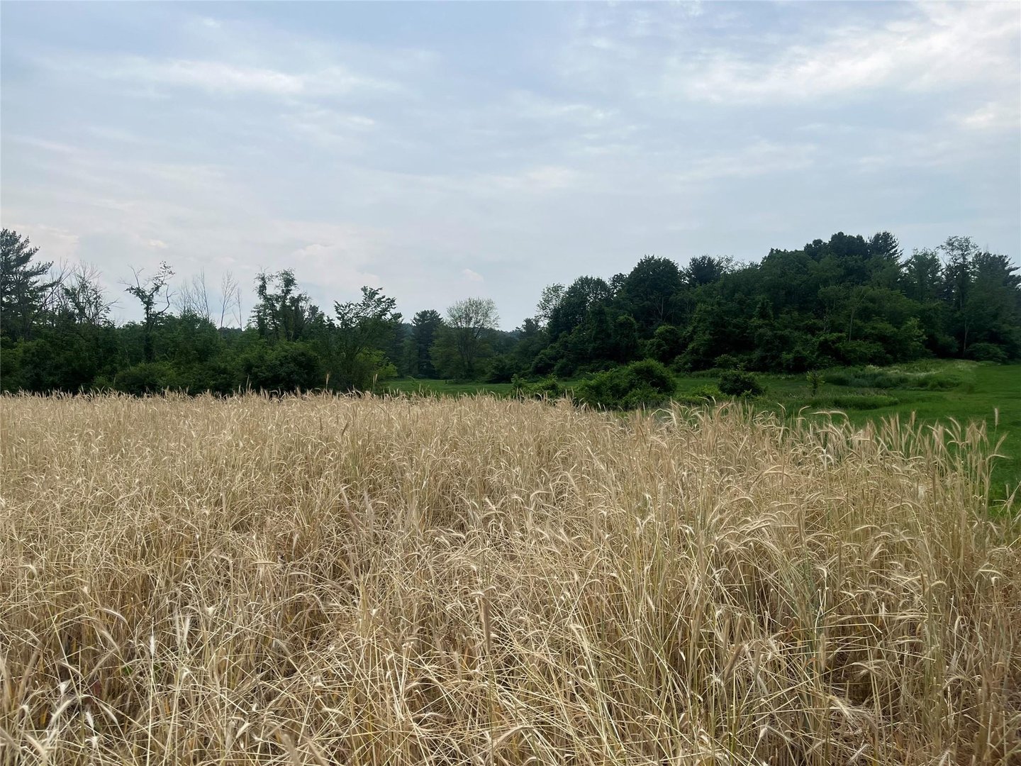 School House Rd Schoolhouse Photo 7