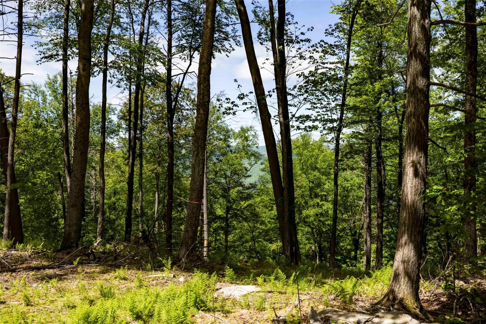 1 Red Rock Road Photo 15