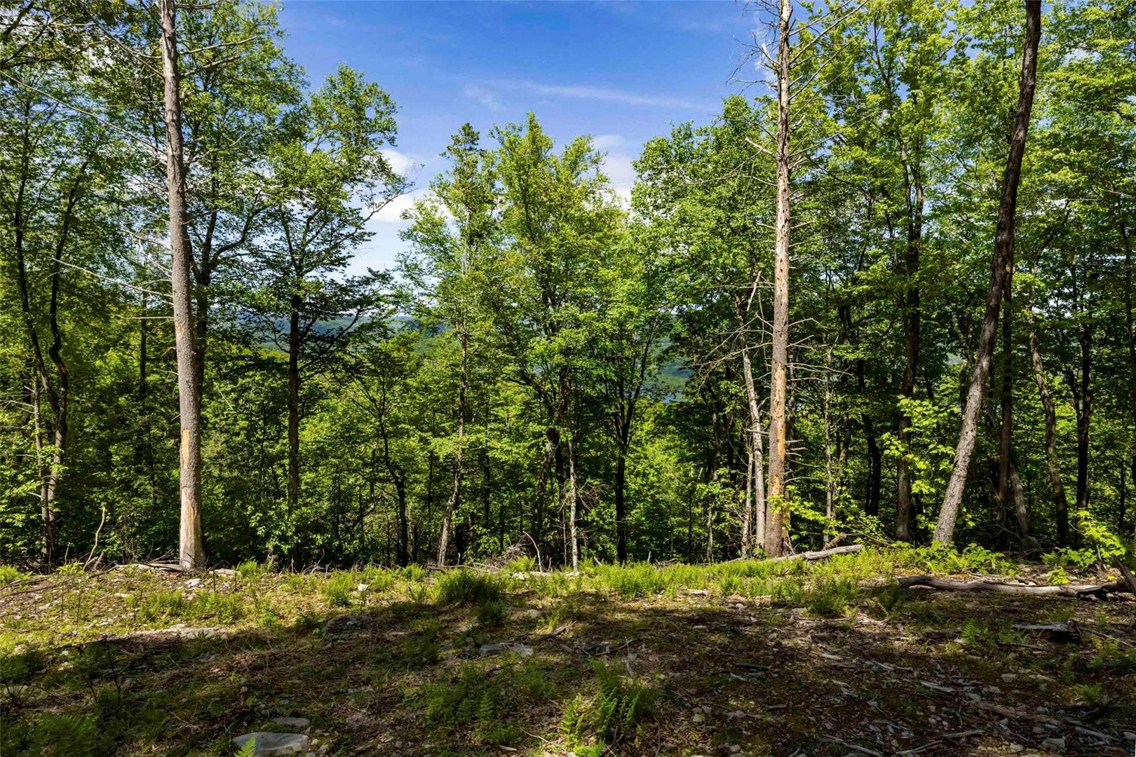 1 Red Rock Road Photo 13