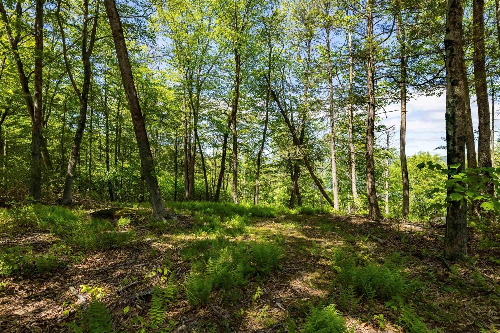 1 Red Rock Road Photo 11