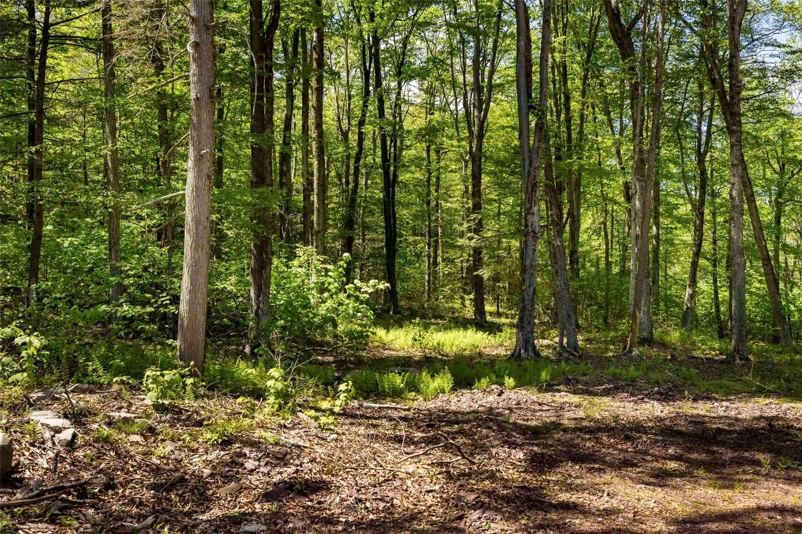 1 Red Rock Road Photo 10