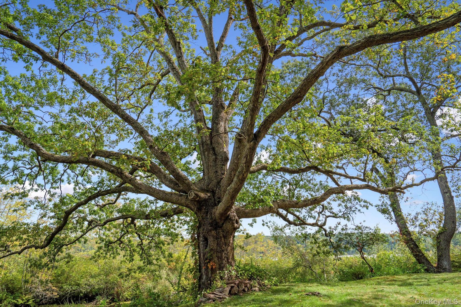 93 Cross Pond Road Photo 34