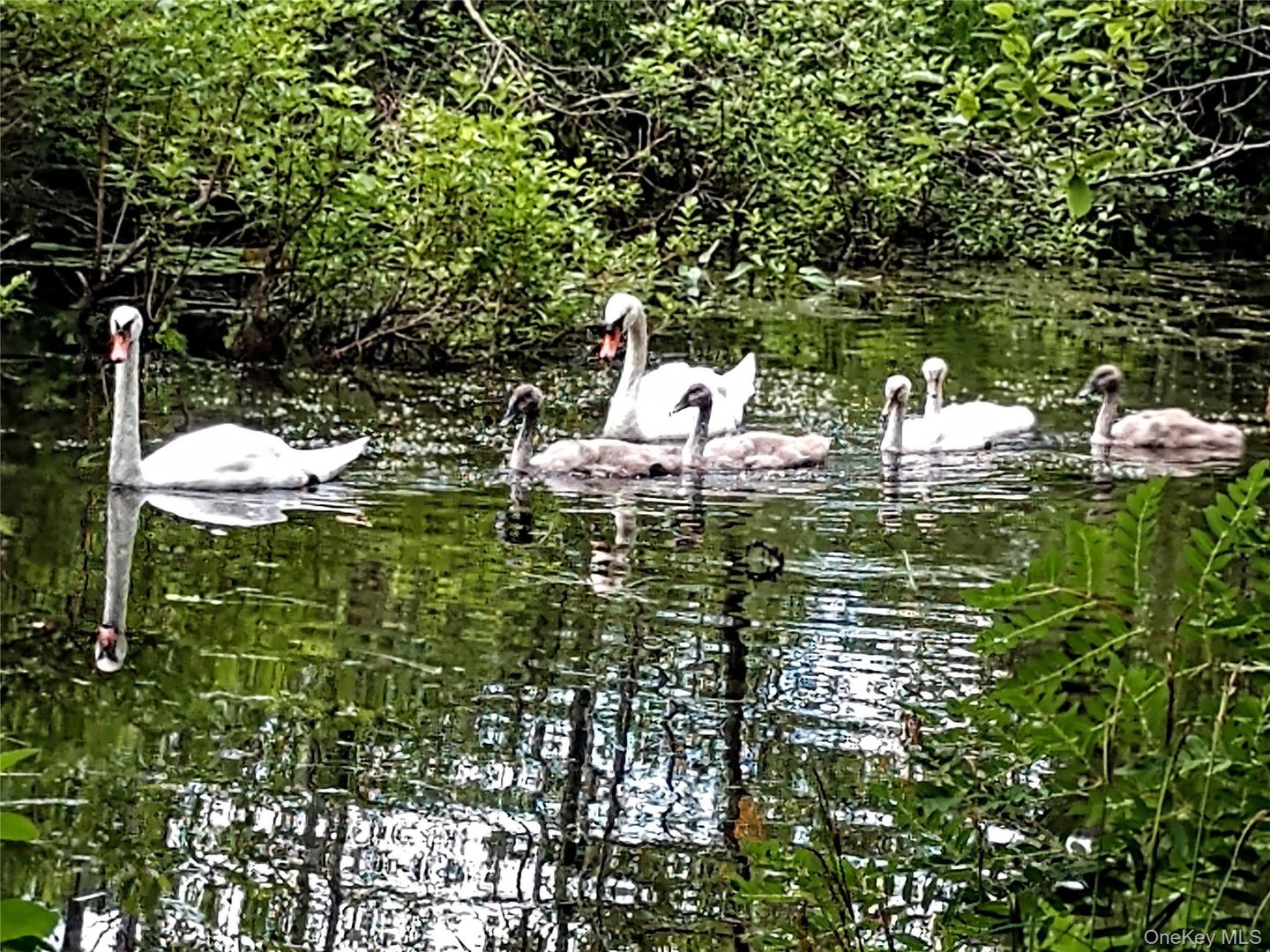 93 Cross Pond Road Photo 36