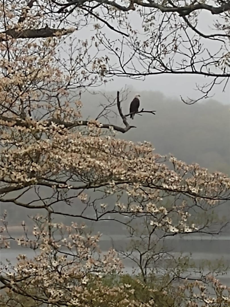 93 Cross Pond Road Photo 42