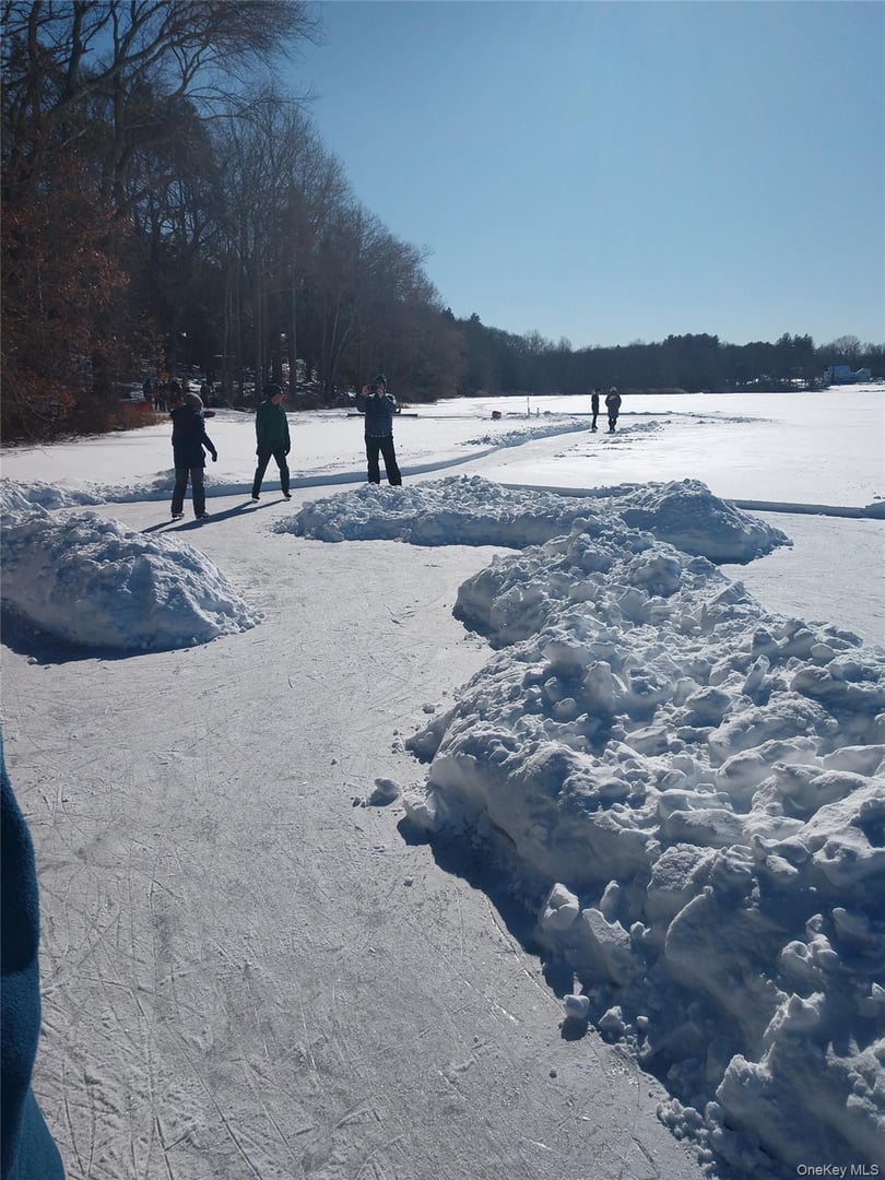 93 Cross Pond Road Photo 40