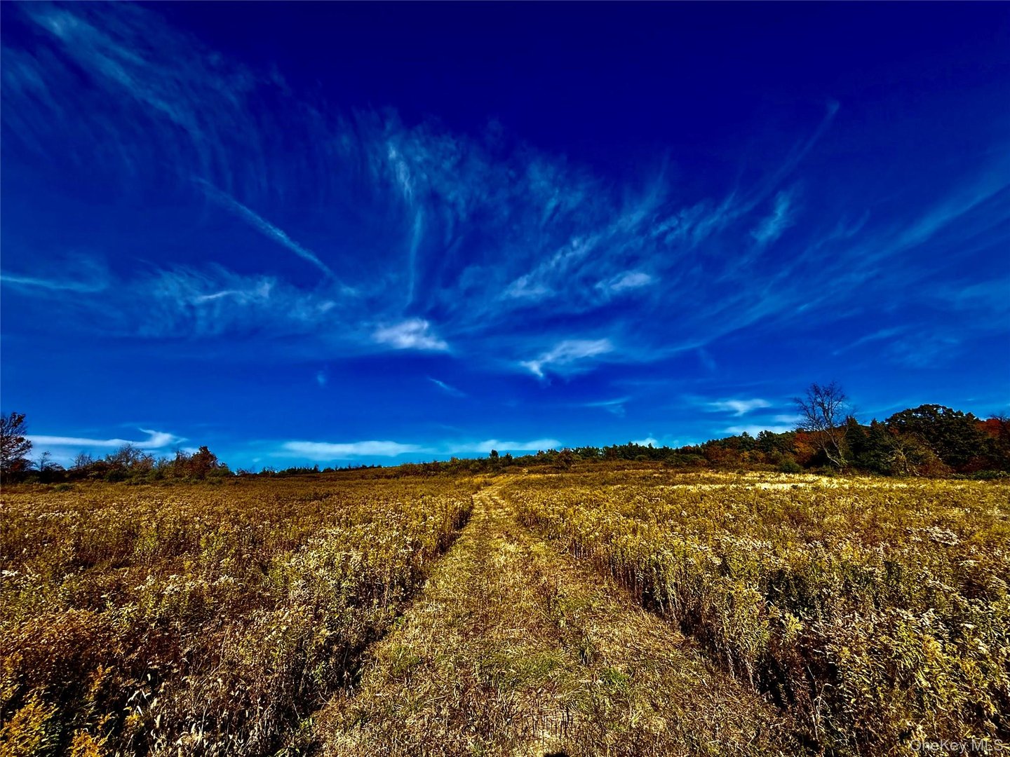 114 Old Barrington Road Photo 23