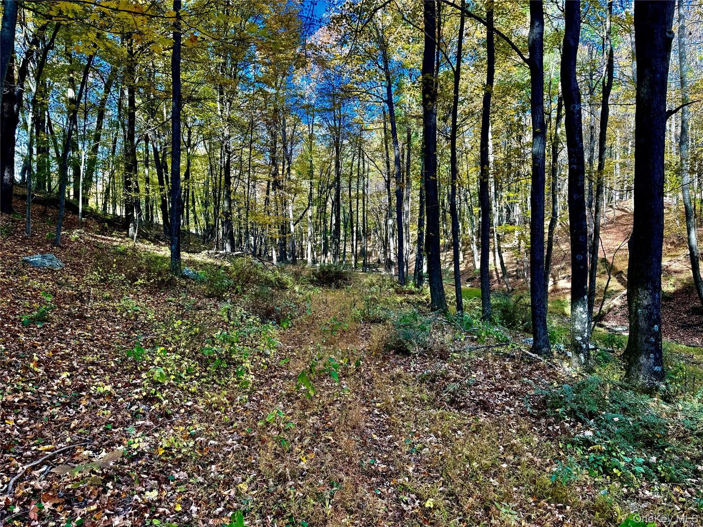 114 Old Barrington Road Photo 18