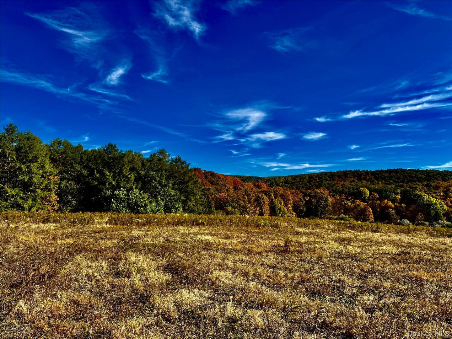 114 Old Barrington Road Photo 16