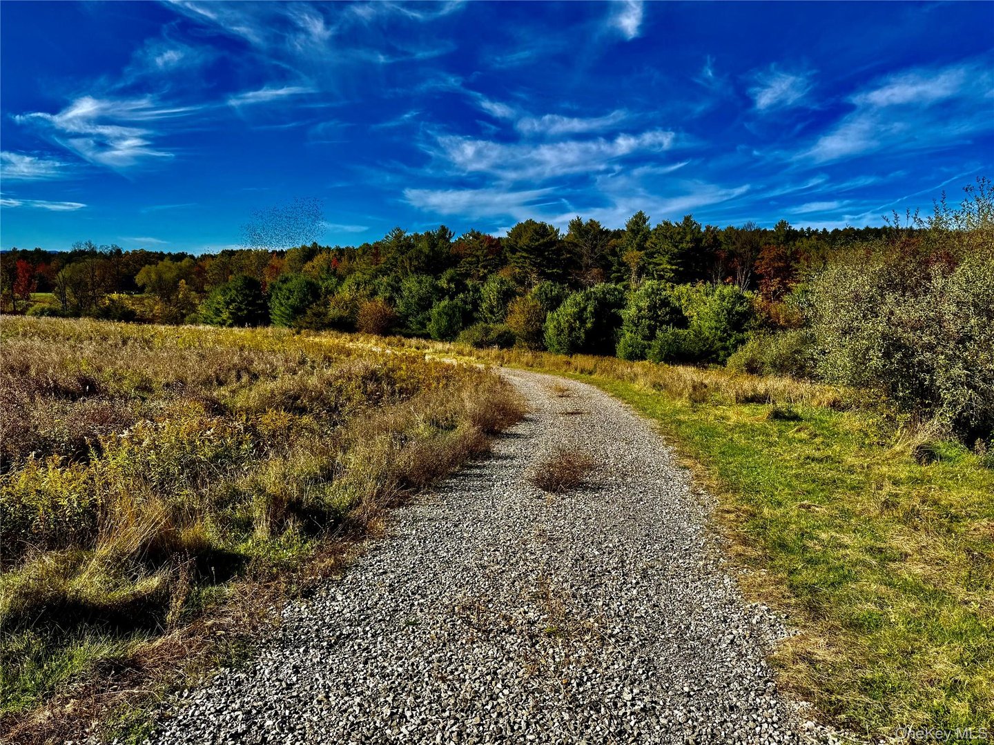 114 Old Barrington Road Photo 7