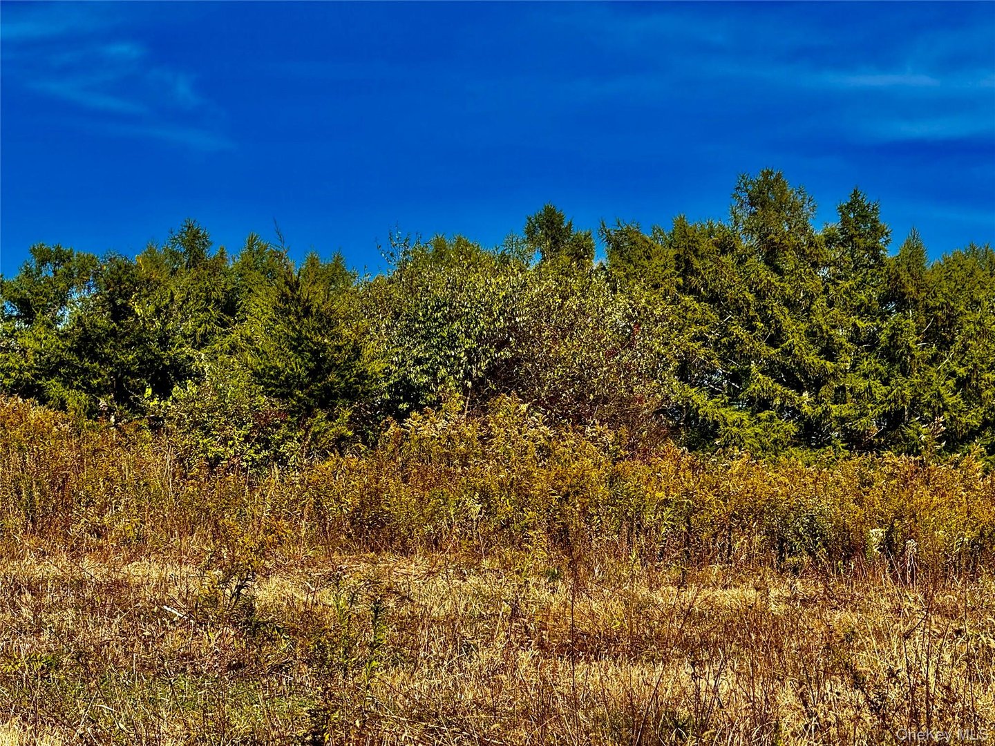 114 Old Barrington Road Photo 22