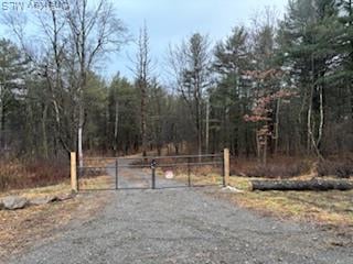 114 Old Barrington Road Photo 29