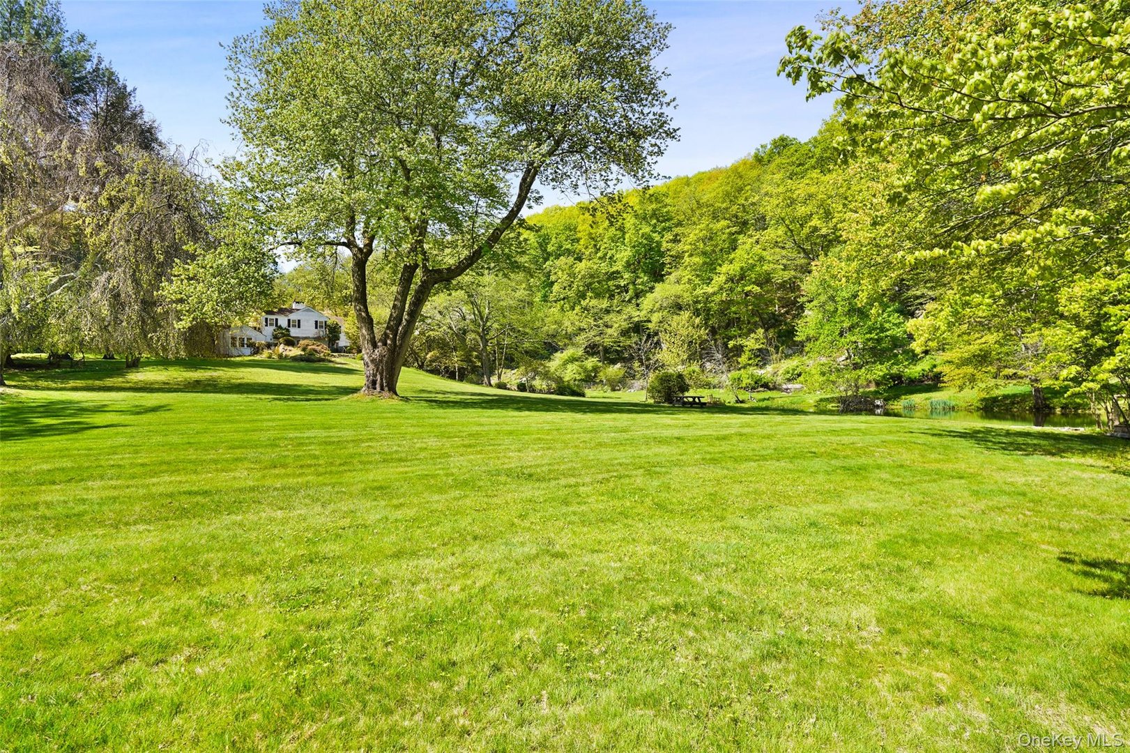 123 & 135 Mianus River Road Photo 2