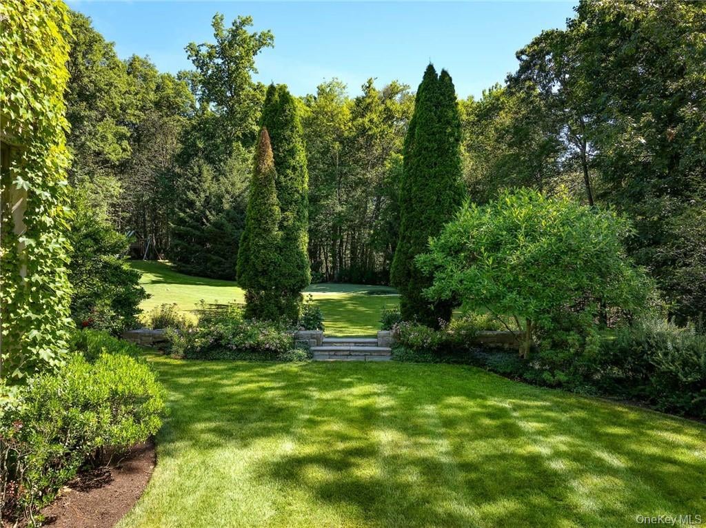 17 Cowdray Park Drive Photo 33