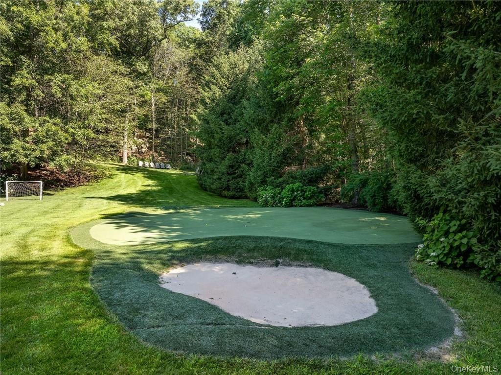 17 Cowdray Park Drive Photo 32