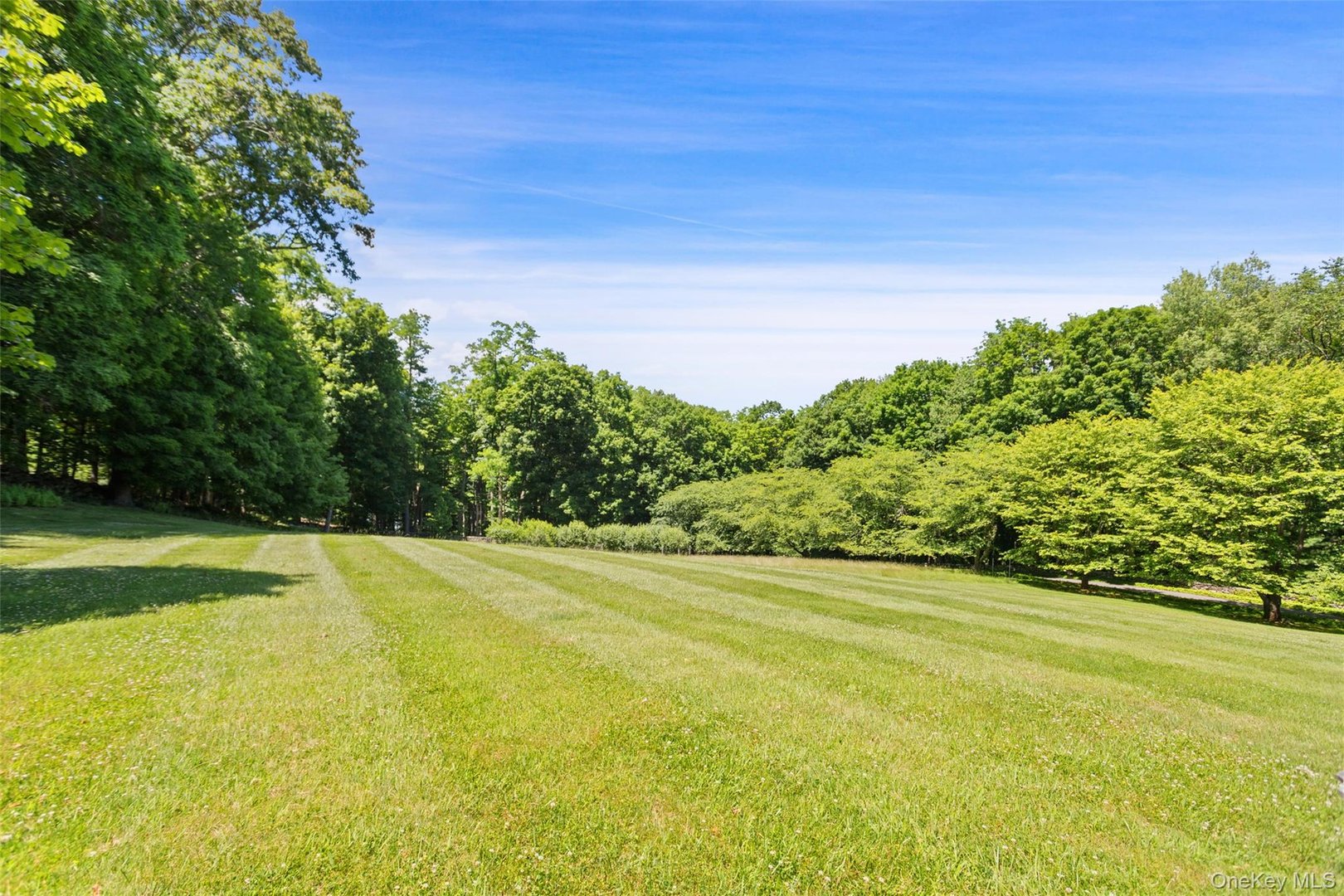 242 Croton Lake Road Photo 8