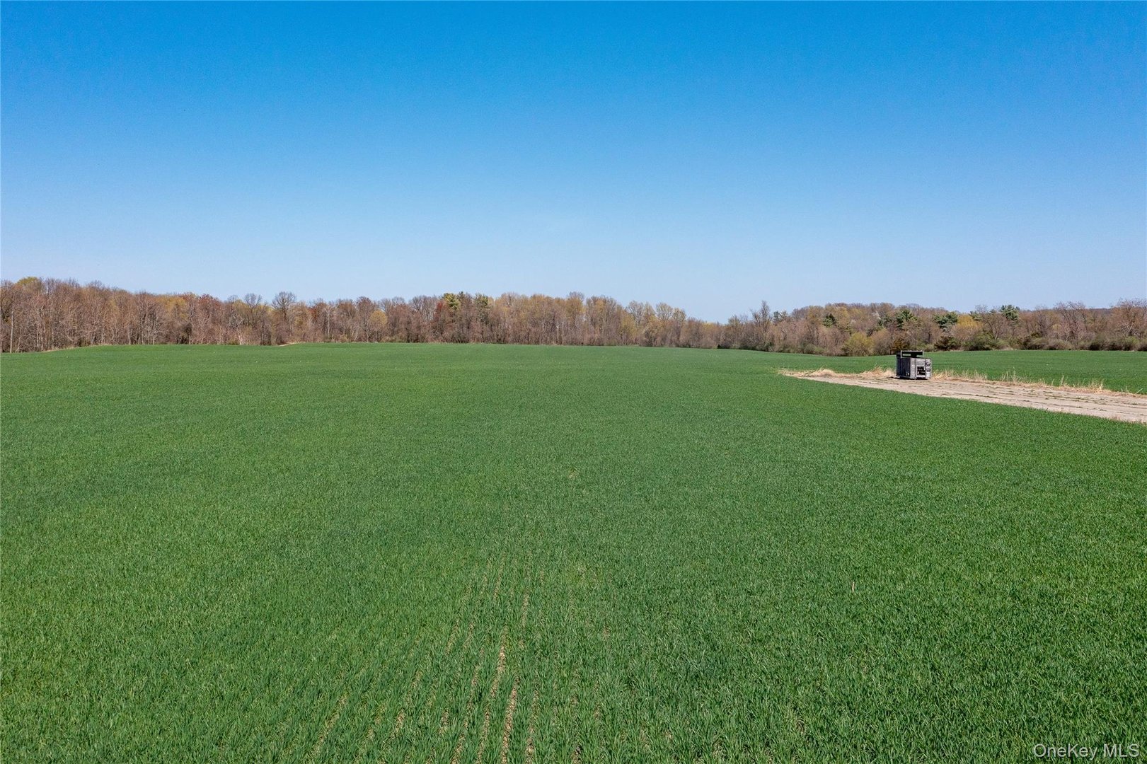 County Road 19 Photo 19