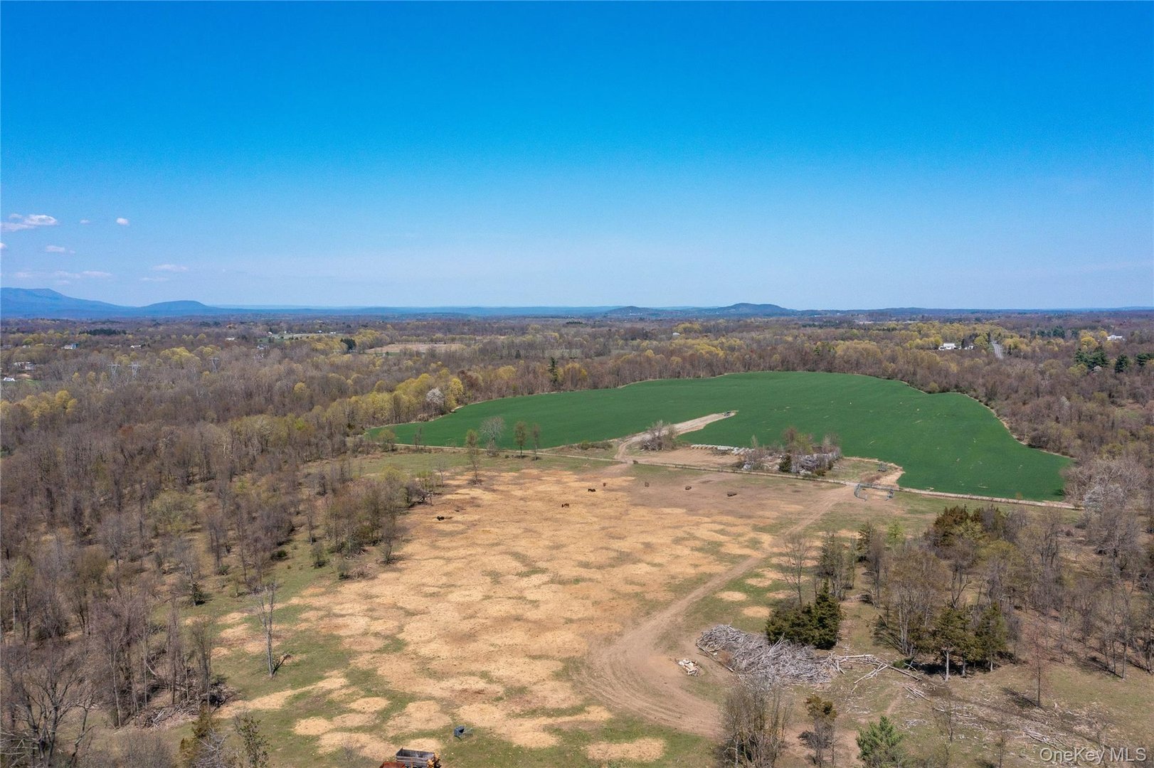 County Road 19 Photo 16