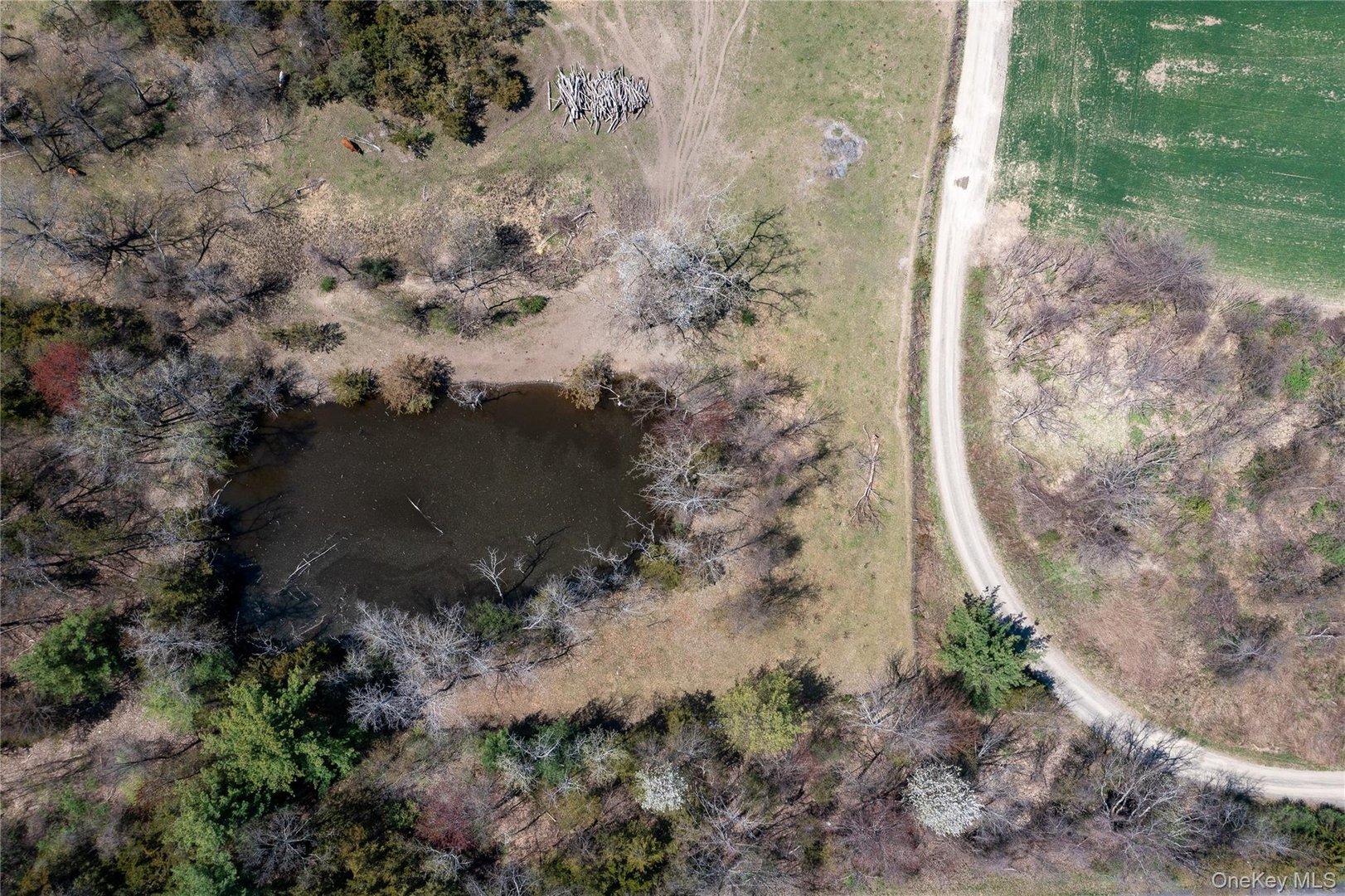 County Road 19 Photo 18