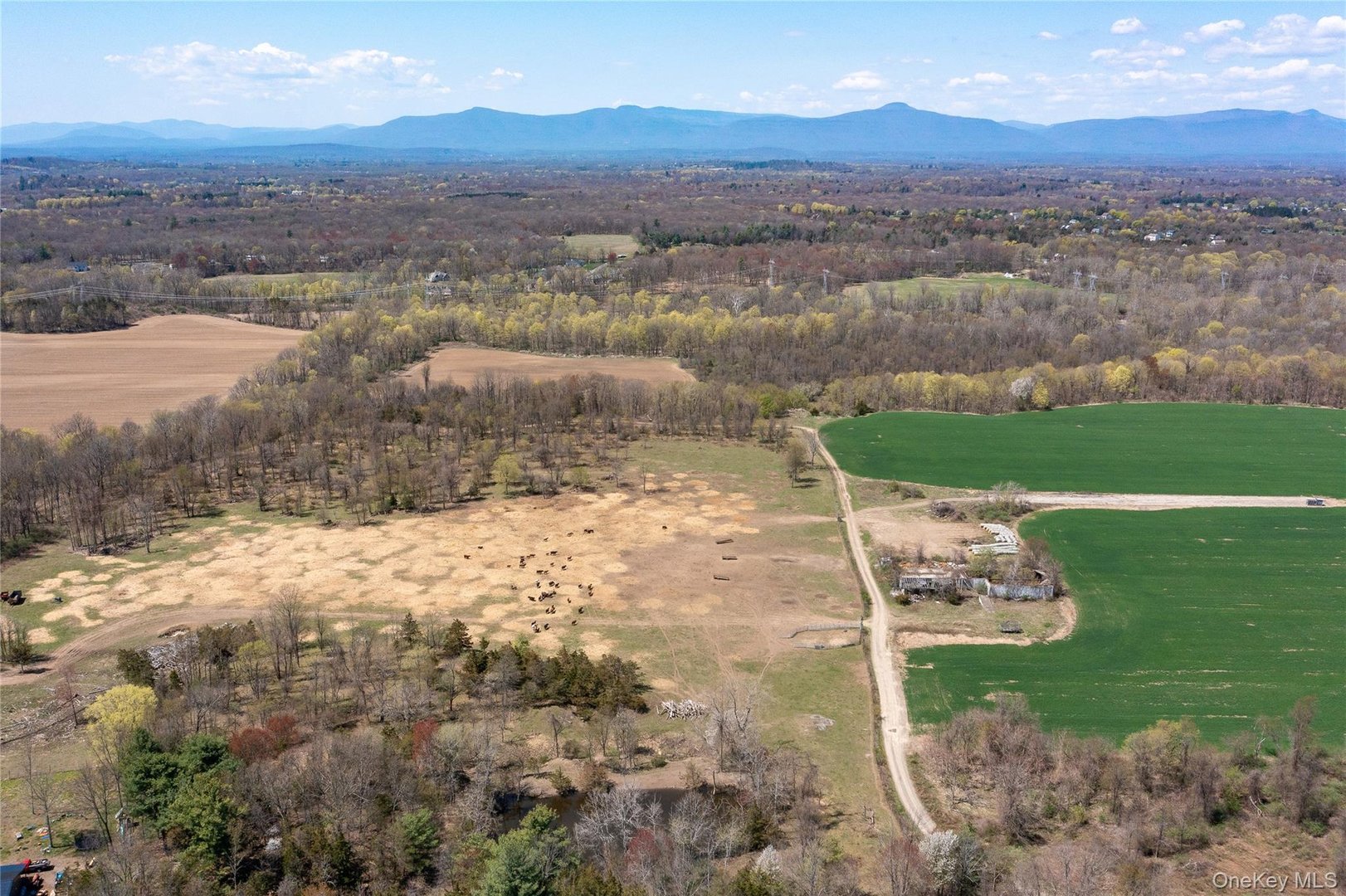 County Road 19 Photo 24