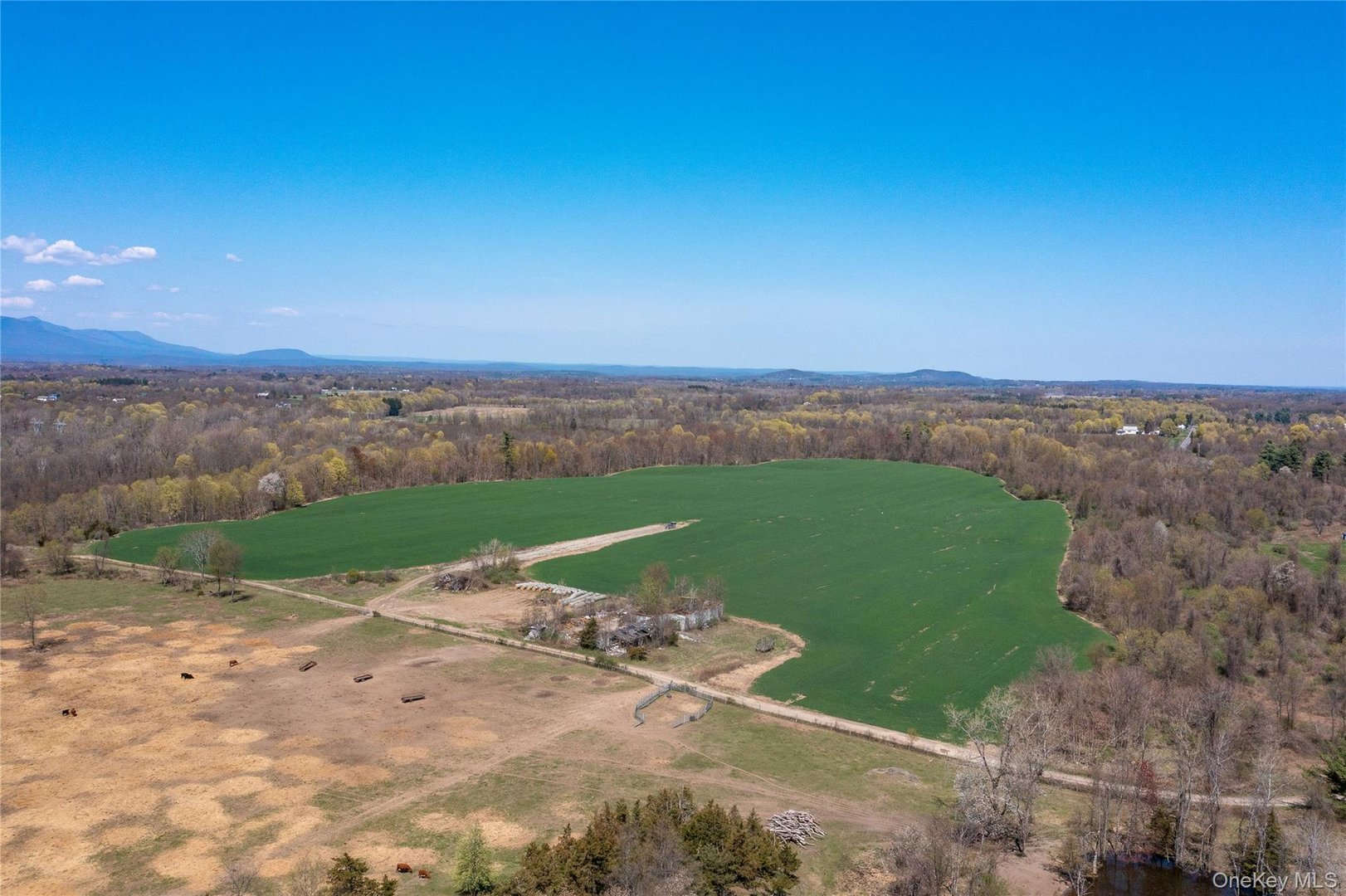 County Road 19 Photo 17