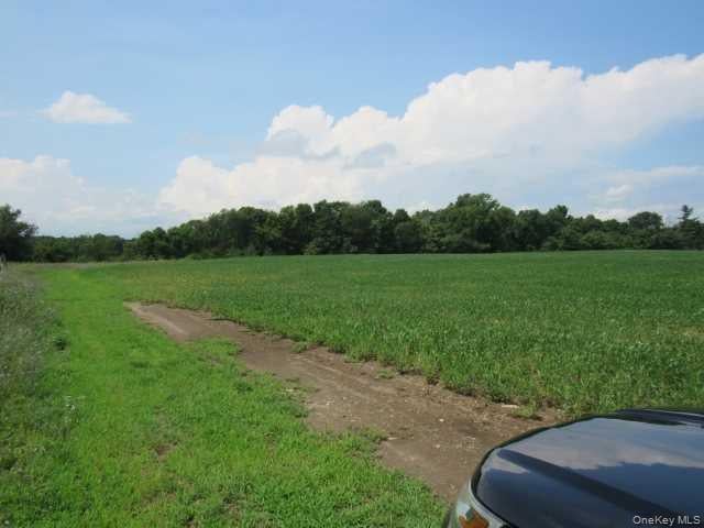 County Road 19 Photo 8