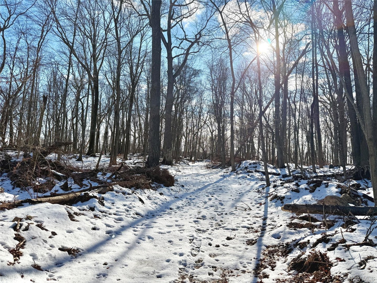 8 Maple Ridge Trail Photo 1