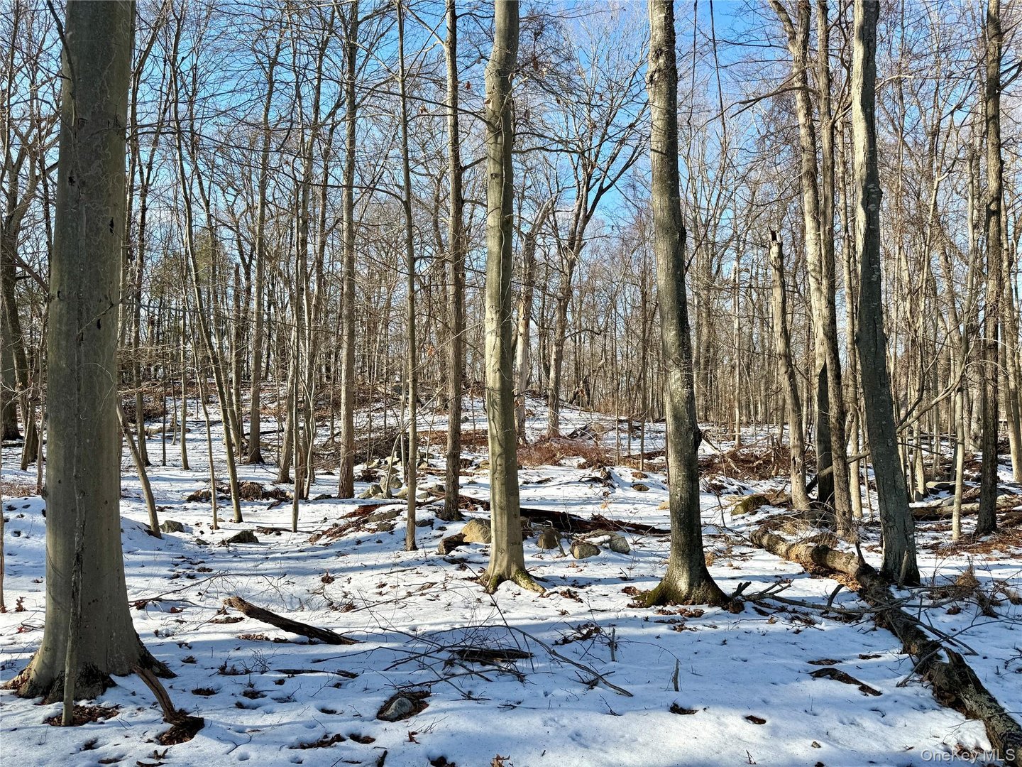 8 Maple Ridge Trail Photo 3