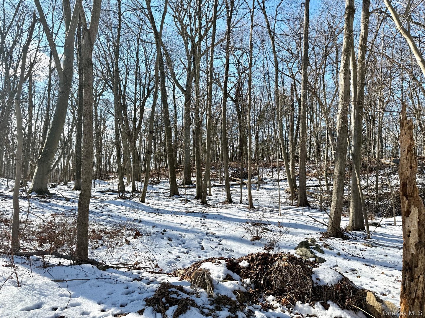 8 Maple Ridge Trail Photo 2