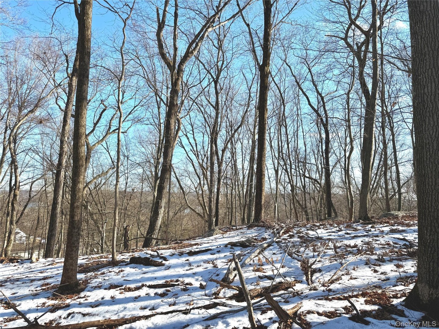 8 Maple Ridge Trail Photo 4