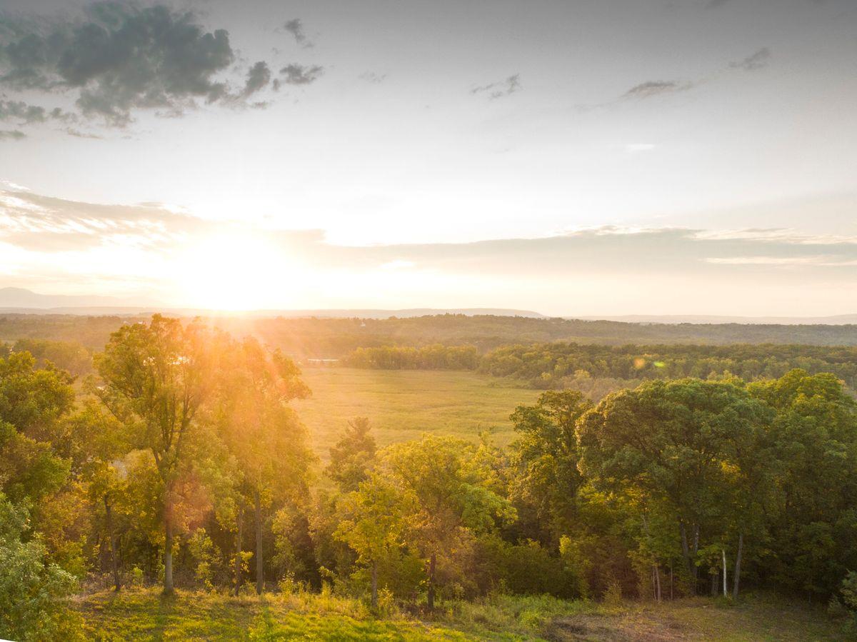 6881 Rod And Gun Road Photo 16