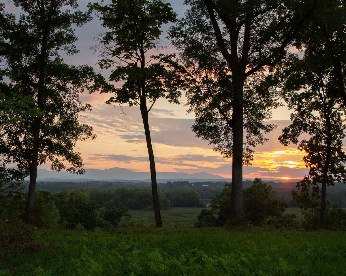 6881 Rod And Gun Road Photo 11