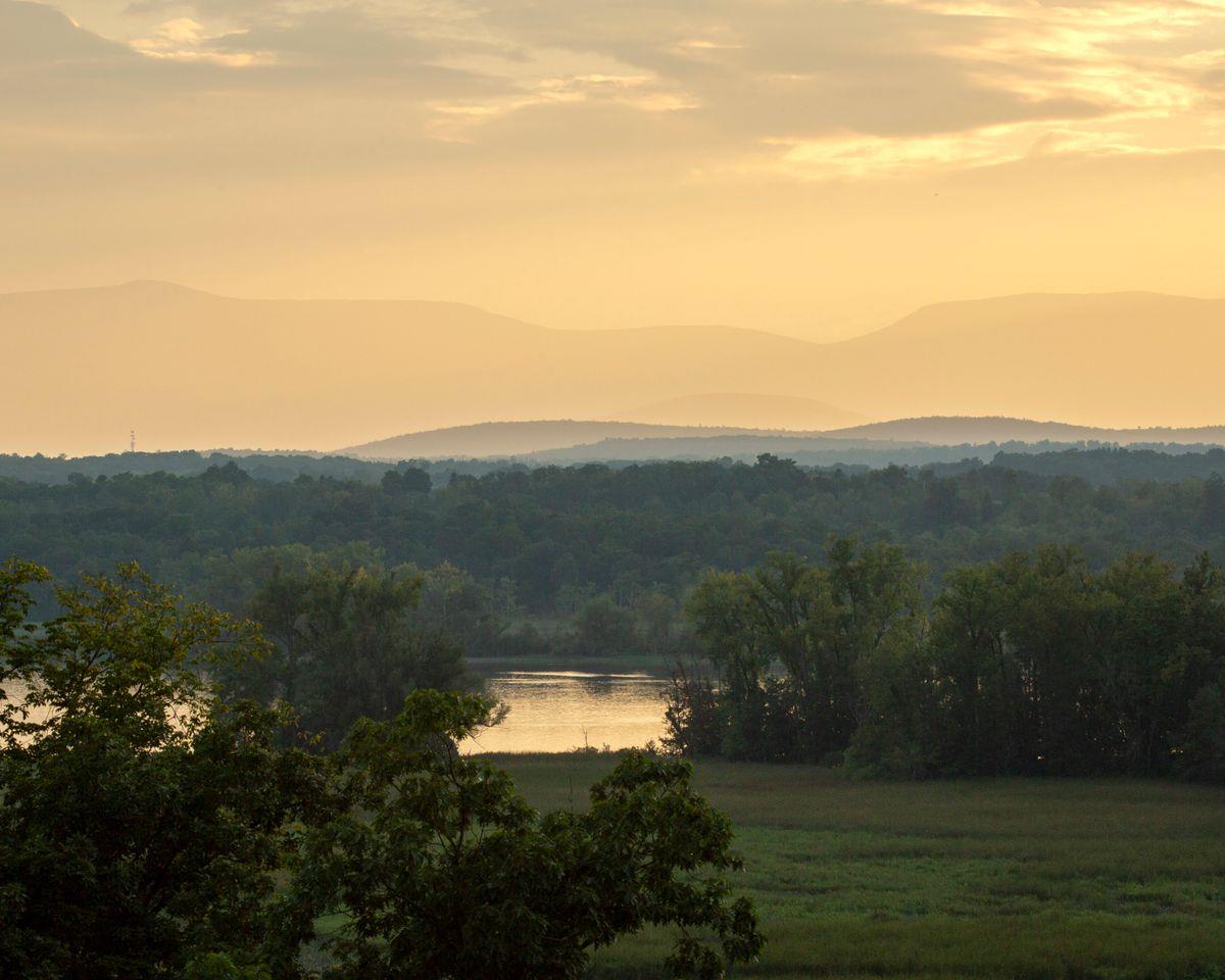 6881 Rod And Gun Road Photo 10