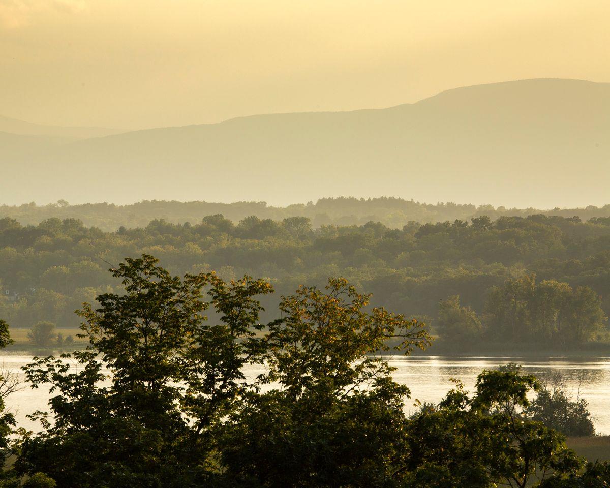 6881 Rod And Gun Road Photo 9