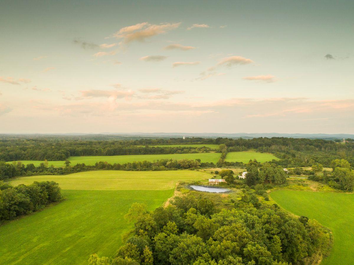 6881 Rod And Gun Road Photo 21