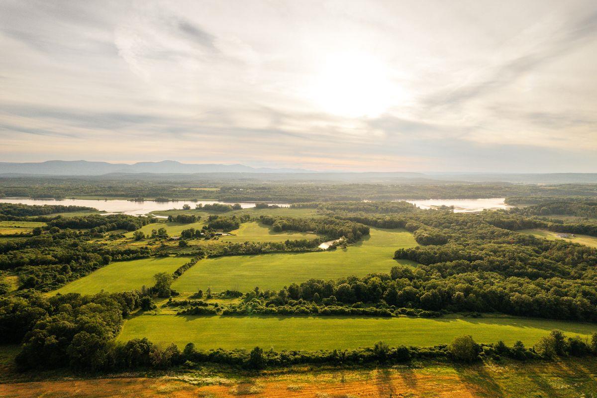 6881 Rod And Gun Road Photo 23