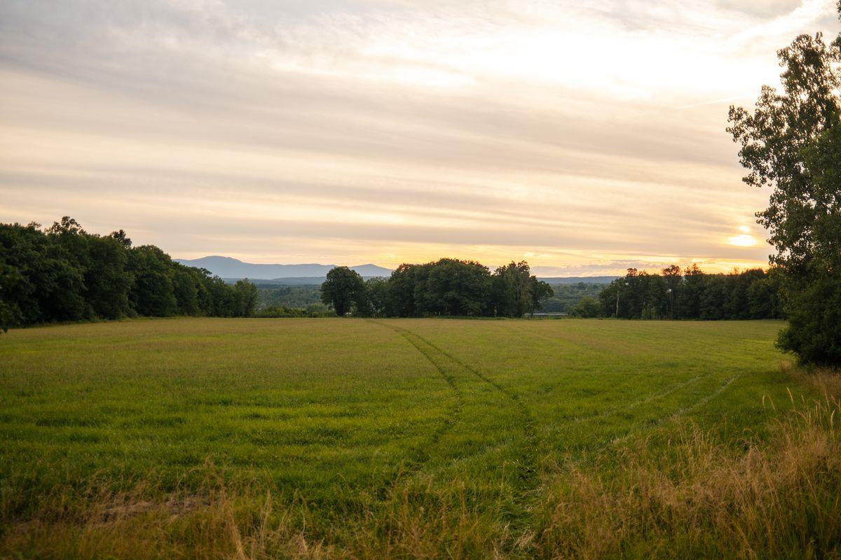 6881 Rod And Gun Road Photo 26