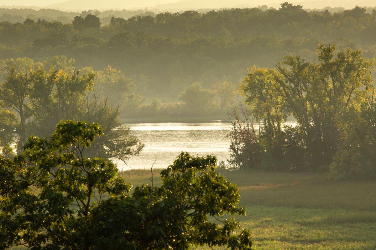 6881 Rod And Gun Road Photo 6