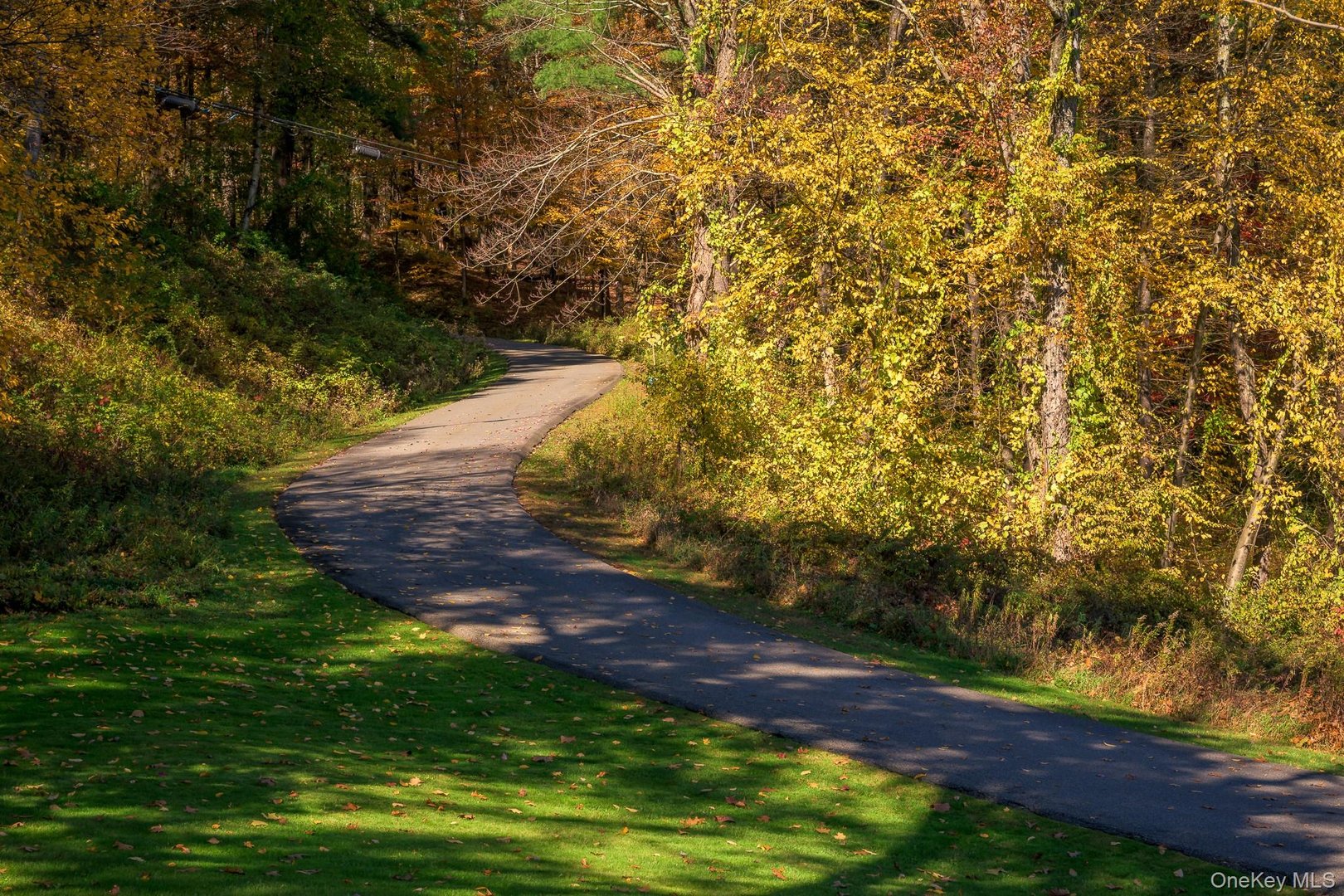 4174 State Route 66 Photo 40