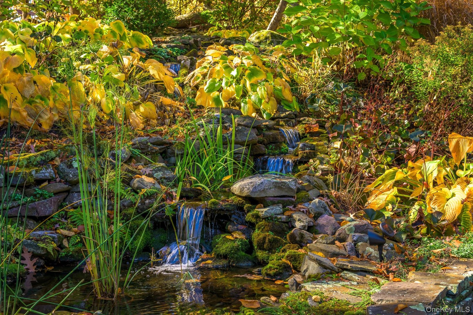 4174 State Route 66 Photo 4