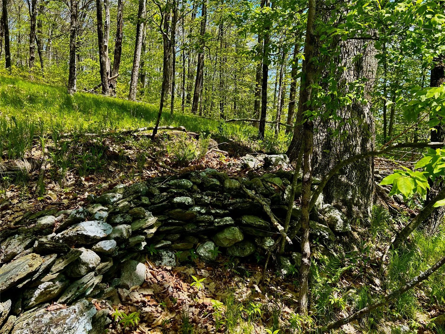 4 West Hill Road Photo 18