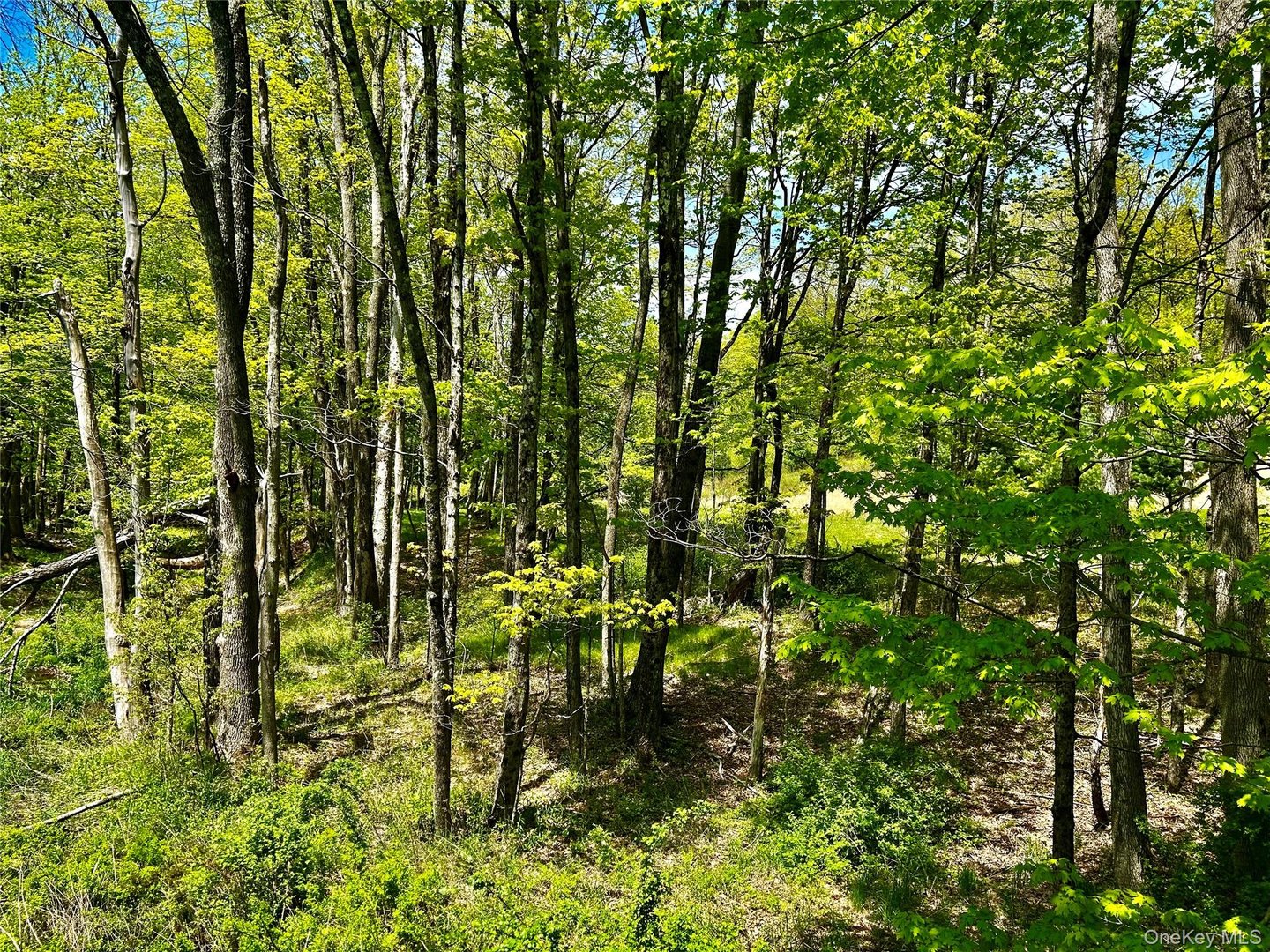 4 West Hill Road Photo 16